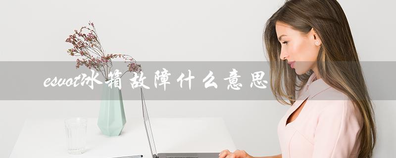 esvot冰箱故障什么意思(解读esvot冰箱故障代码和故障原因)