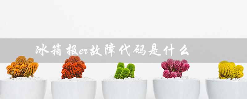冰箱报er故障代码是什么（新飞冰箱er故障代码是什么）