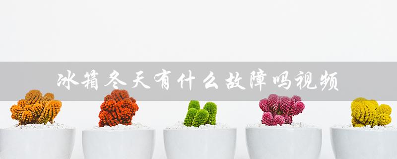 冰箱冬天有什么故障吗视频(冬天开冰箱几度合适)