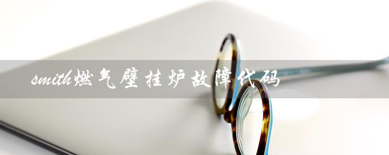 smith燃气壁挂炉故障代码(燃气壁挂炉E1故障)