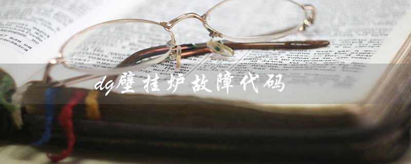 dg壁挂炉故障代码（dg壁挂炉E1故障怎么办）