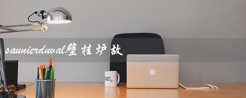 saunierduval壁挂炉故障代码