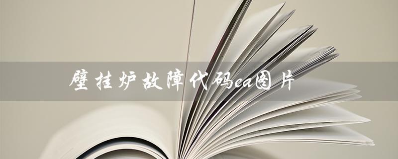 壁挂炉故障代码ea图片（壁挂炉故障代码有哪些）