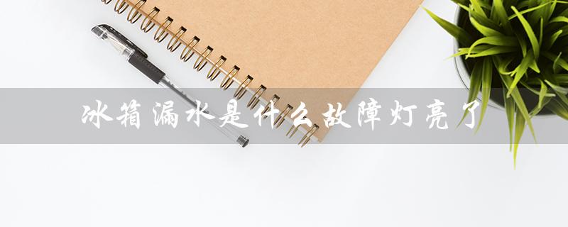 冰箱漏水是什么故障灯亮了（冰箱漏水怎么解决）