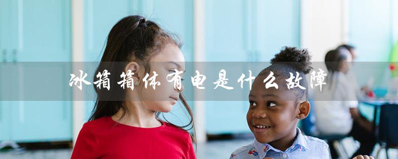 冰箱箱体有电是什么故障（冰箱箱体有电的原因是什么）