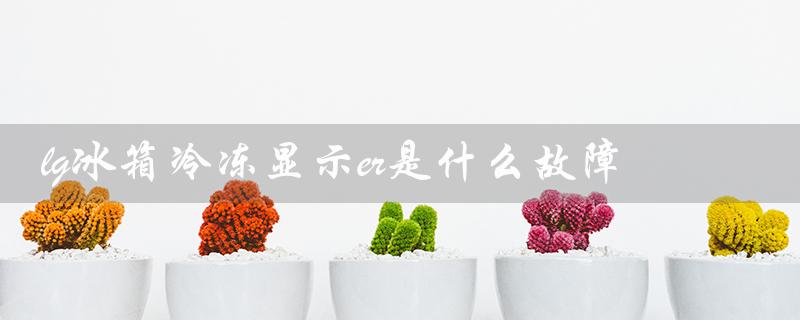 lg冰箱冷冻显示er是什么故障（LG冰箱24小时服务电话）